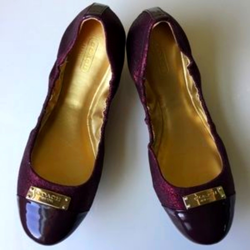 NWOB Coach "Darsi" Metallic Ballet Flats